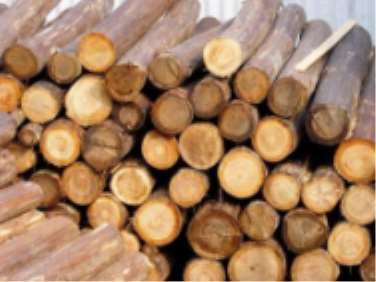 ľ�ĿƼ��ڿɳ��m�е�����