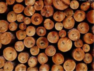 �P��ľ��ȱ����ͼ�ԭ��Ľ�B