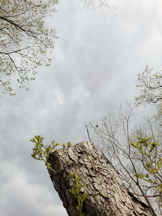 �S�^(q��)�h(hu��n)��