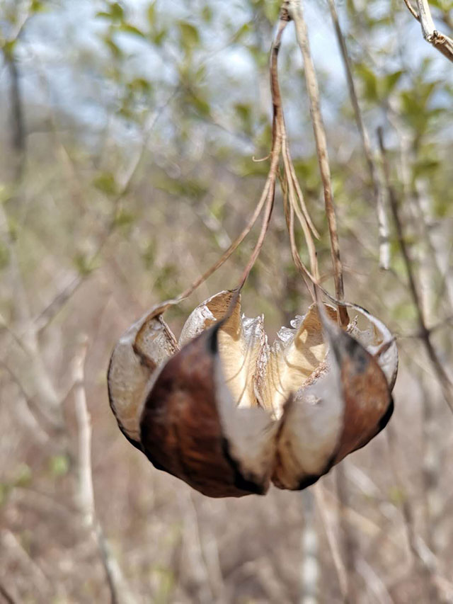 �S(ch��ng)�^(q��)�h(hu��n)��