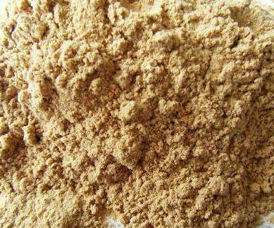 ��ľ�۵��xُҪ���յ��c