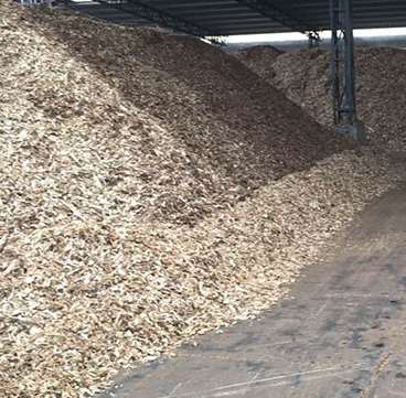 ���{ԭ���ϵķN�����Щ