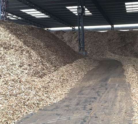 �w�S���{ԭ���ϵĽM���Ƃ��B