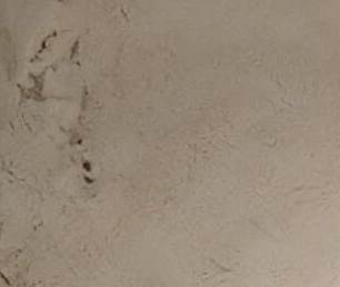 ���{ԭ���������M������