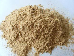 ��ľ�ە����҂��a��ʲôӰ�